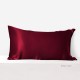 Buy Claret 22 Momme Mulberry Silk Pillowcase with Hidden Zipper